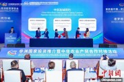 禽兽为邻中非新增10对友好城市 国际“朋友圈”助推务实合作