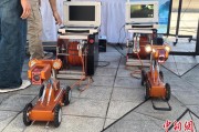 禽兽为邻六五环境日：科技何以赋能浙江生态环境保护？