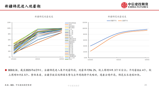 【棉花纺谈】供应端阶段性缩量 疆棉基差(💫)坚挺